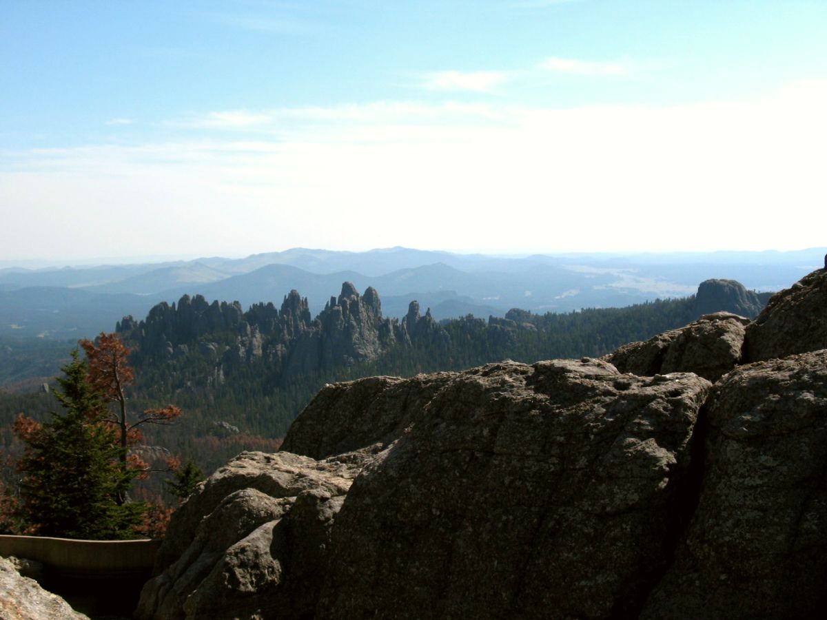 Black Hills National Forest