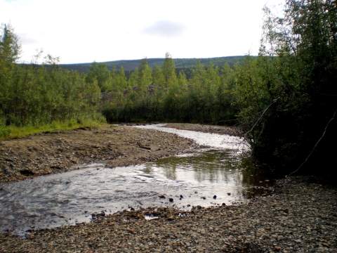 Bonanza Creek