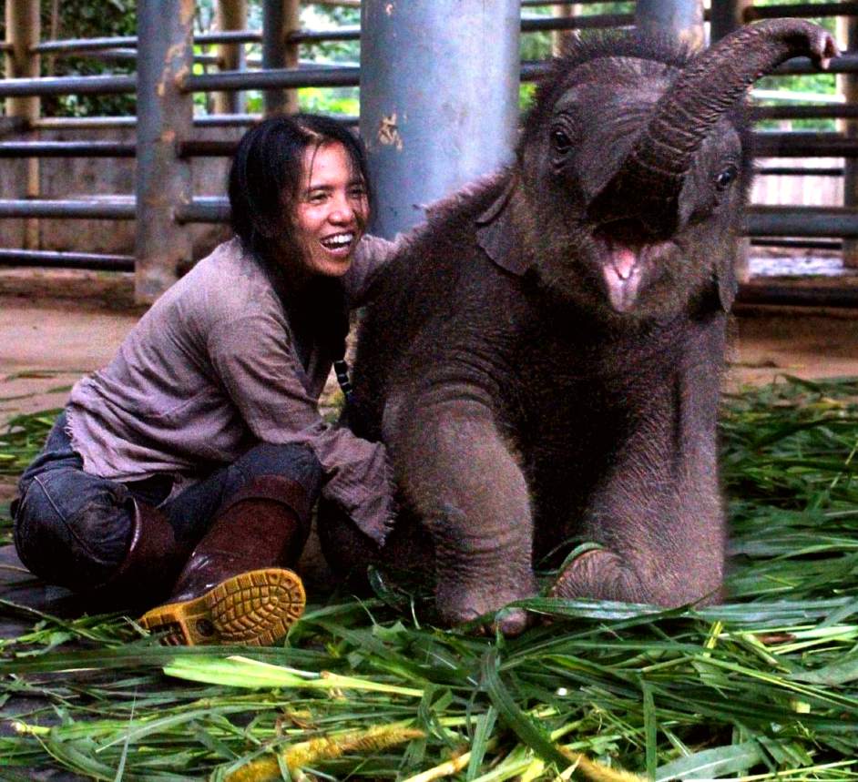 Elephant Nature Park