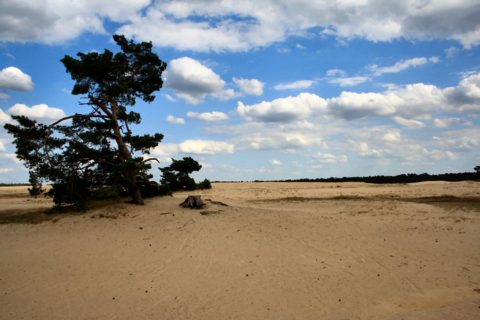 De Hoge Veluwe National Park