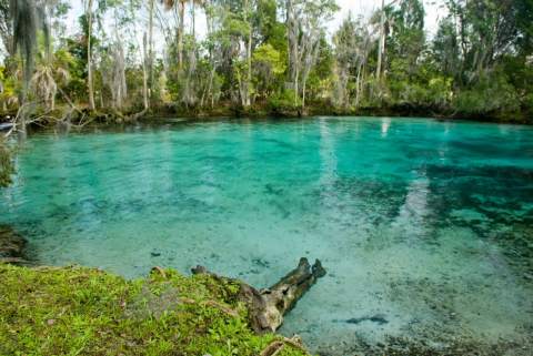 Three Sisters Springs