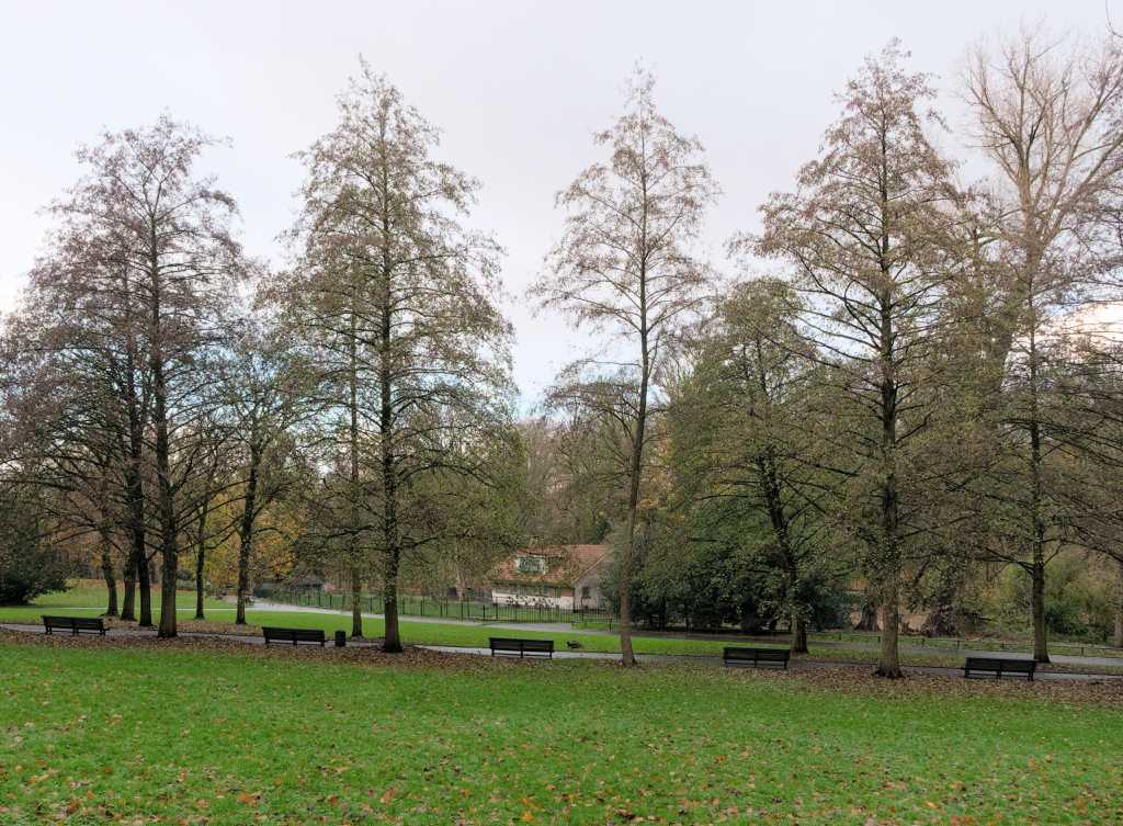 Josaphat Park