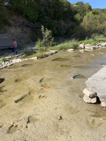 Dinosaur Valley State Park