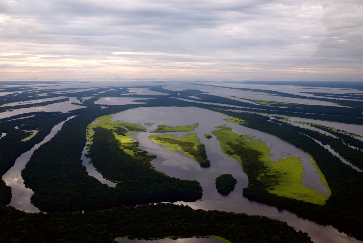 Anavilhanas National Park