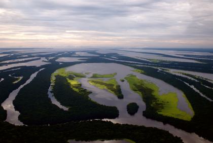 Anavilhanas National Park