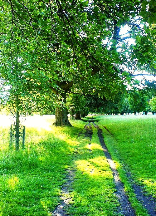 Ireland
