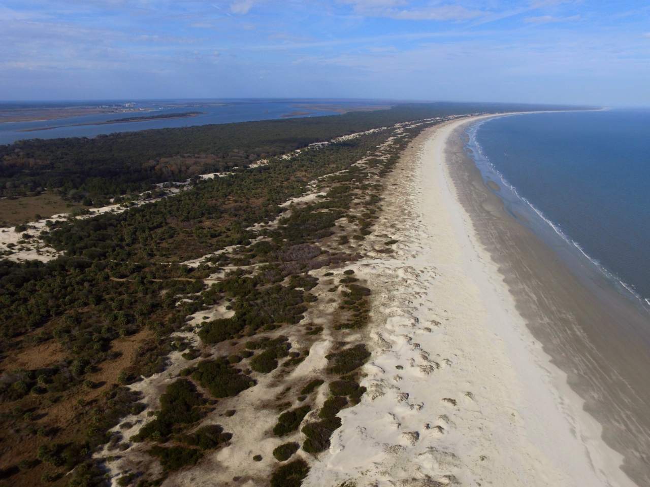 Cumberland Island National Seashore