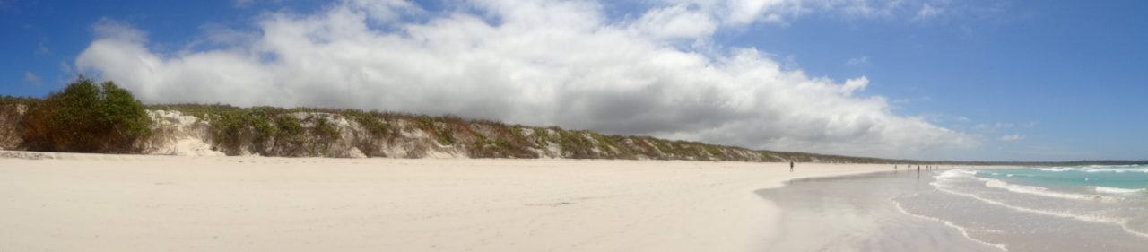 Tortuga Bay