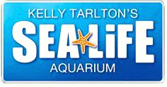 Kelly Tarlton's Sea Life Aquarium