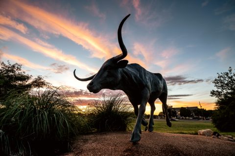 National Ranching Heritage Center