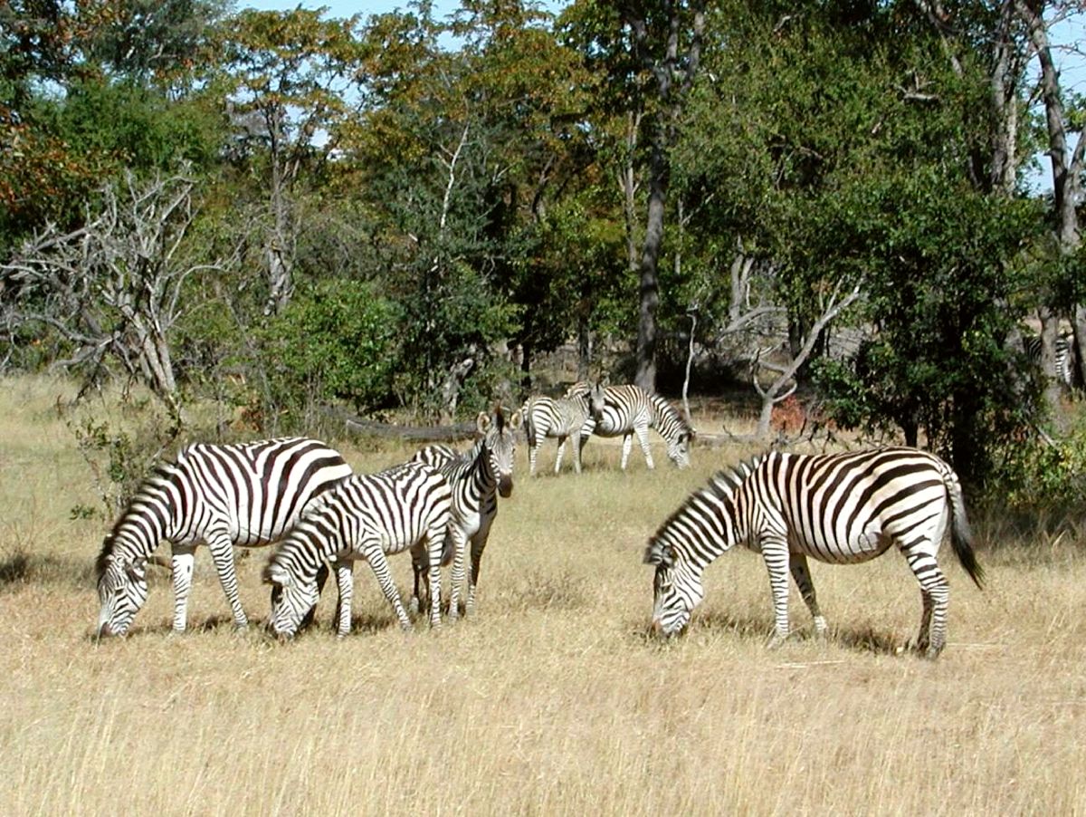 Namibia