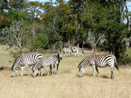 Namibië