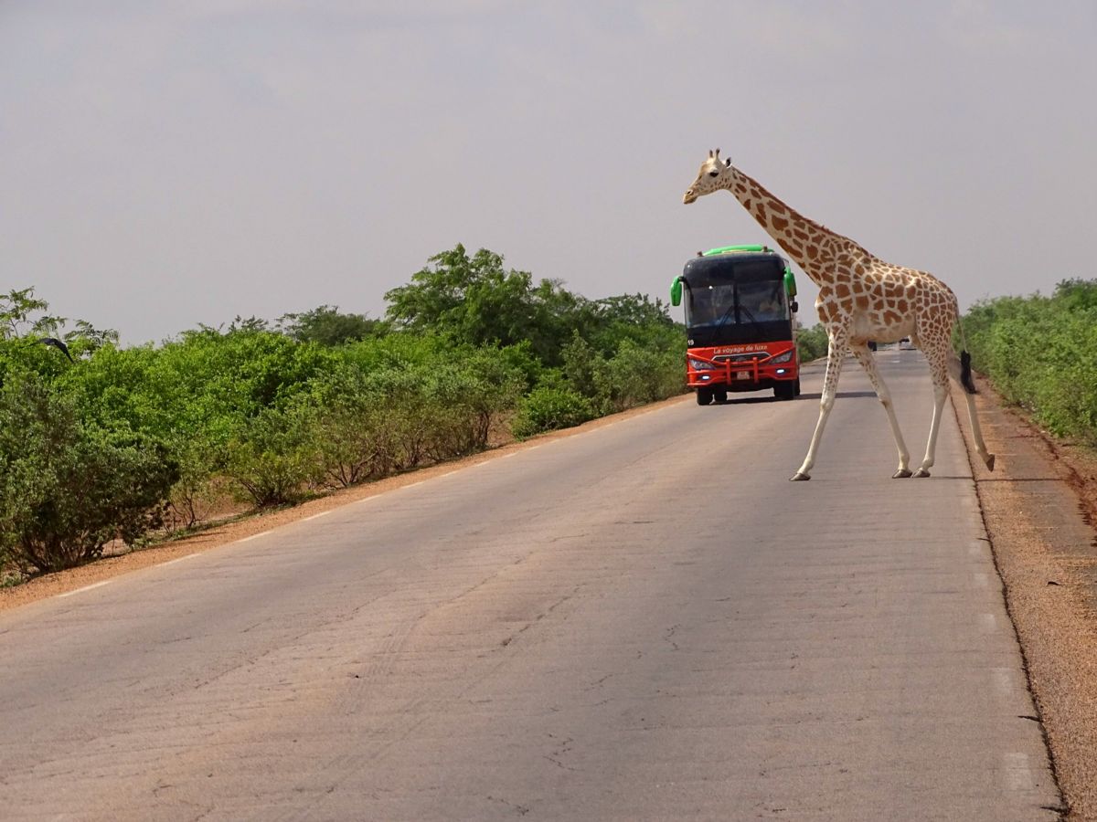 Niger