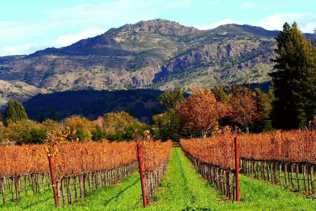 Lokale tradities - Napa Valley