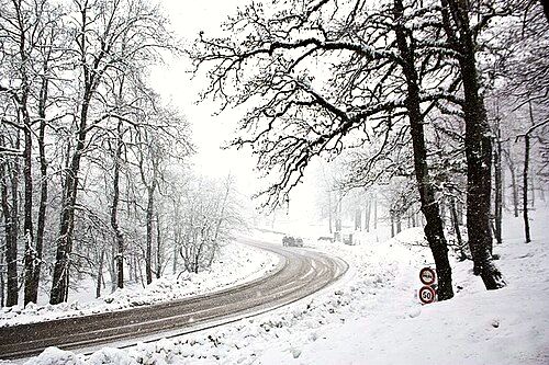 Snowfall in Tabarka