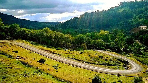 Forest near Aïn Draham