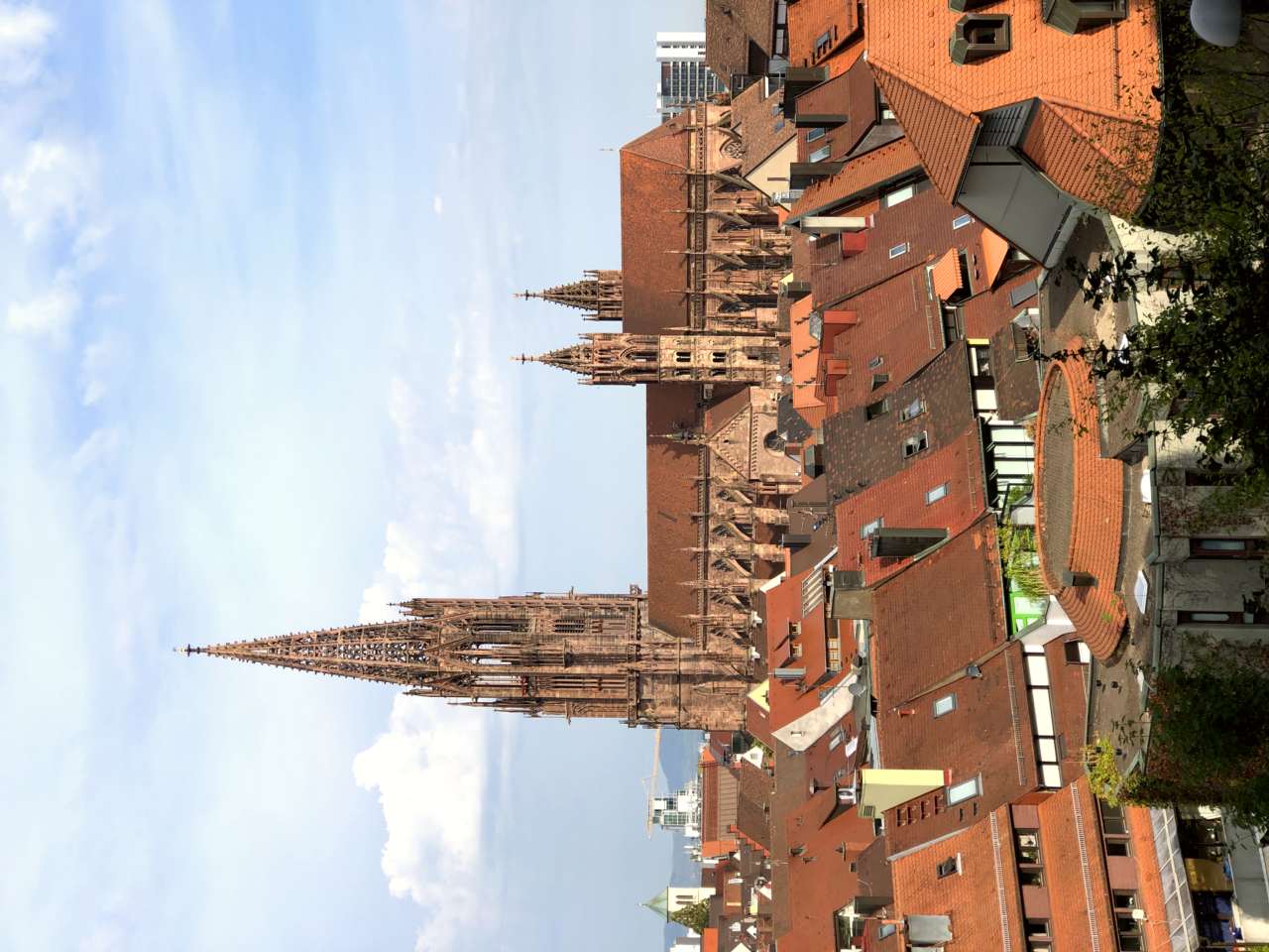 Freiburg Minster