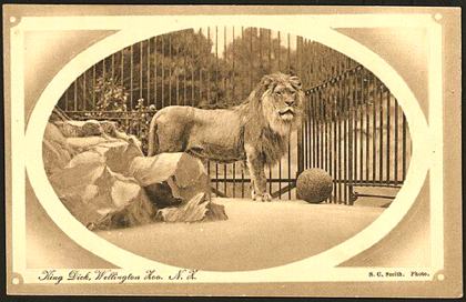 Wellington Zoo