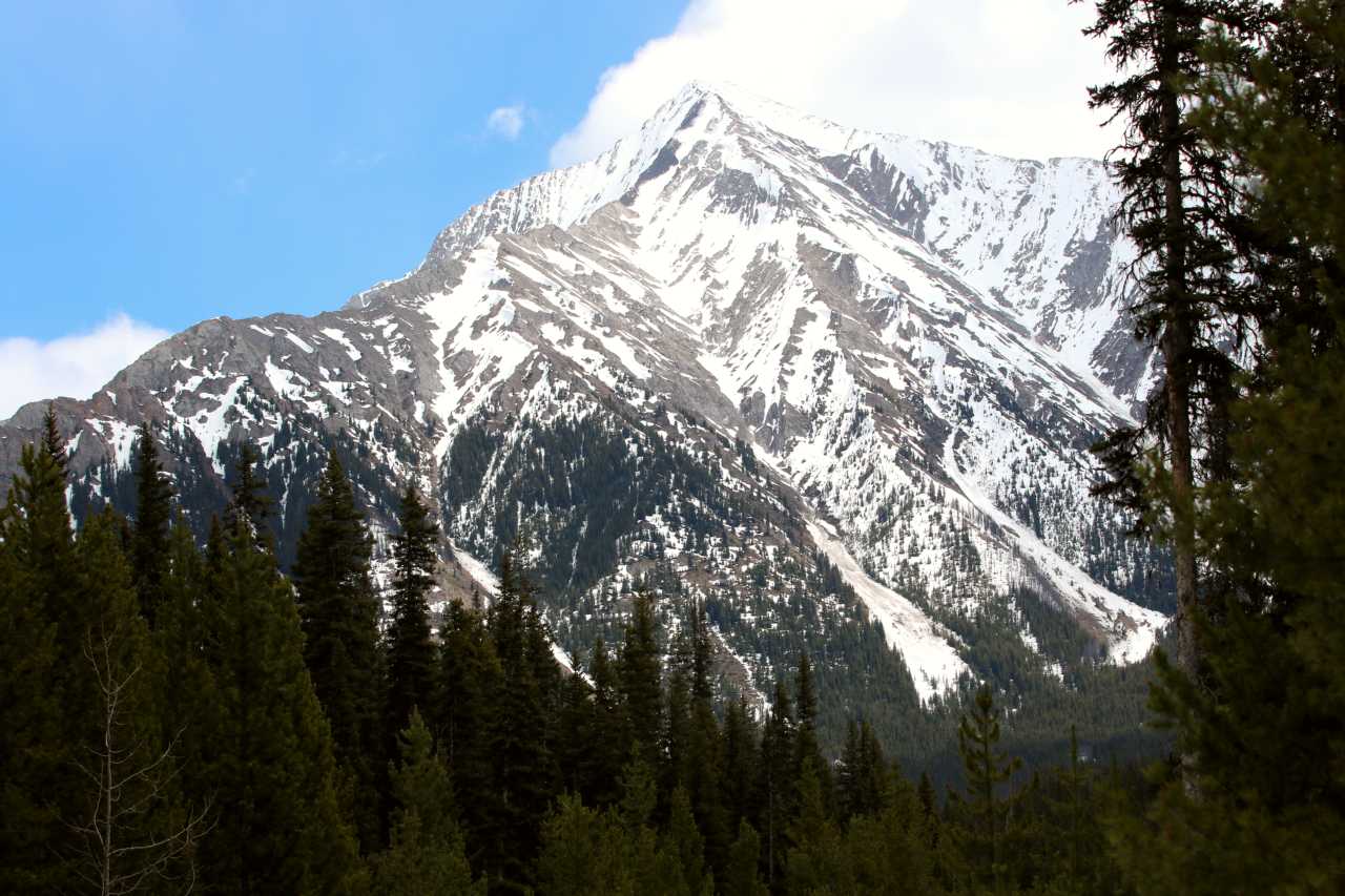Lokaal eten en drinken - Kananaskis