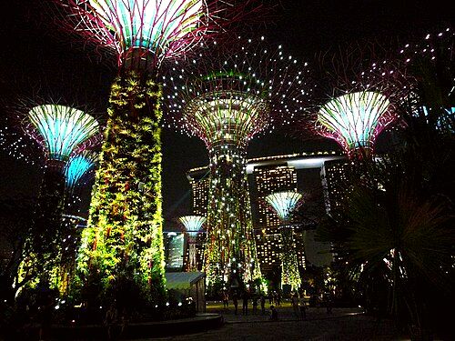Supertrees at Gardens by the Bay, at night.