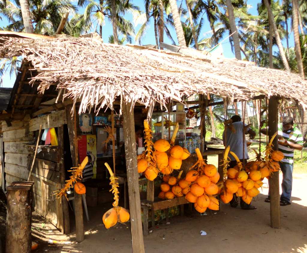 Lokaal eten en drinken - Negombo