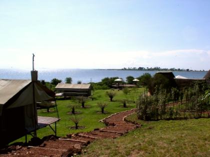 Ngamba Island Chimpanzee Sanctuary