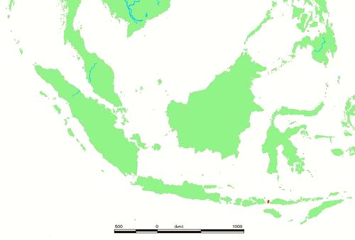 Komodo Island