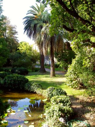 Botanische Tuin