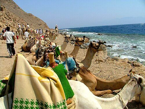 Dahab