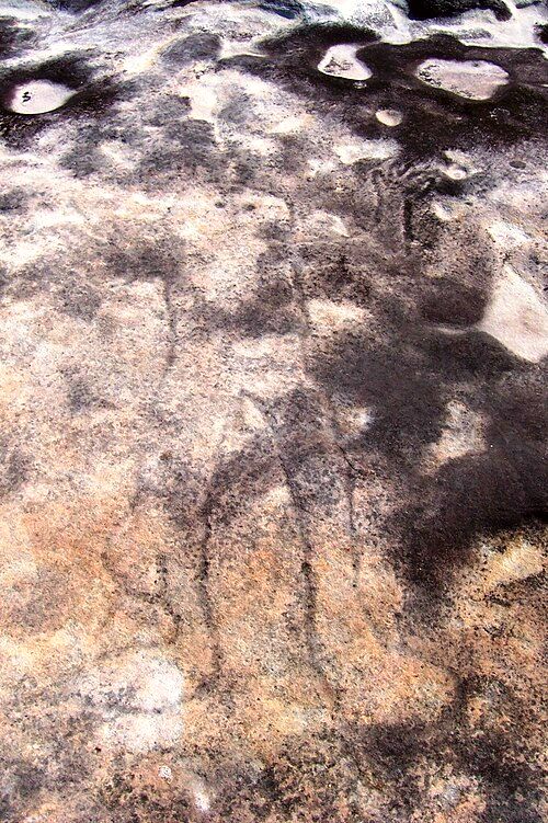 Geschiedenis - New South Wales