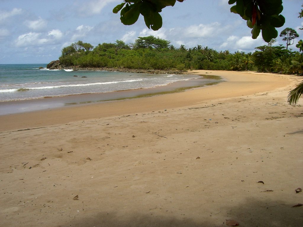 Busua