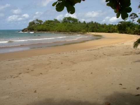 Busua