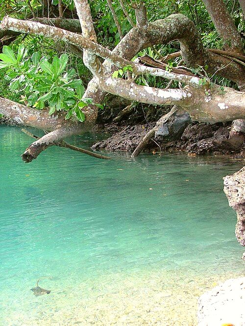Best Point, South Santo