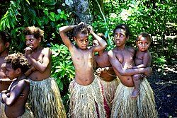 Tanna Island