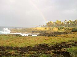 Tanna Island