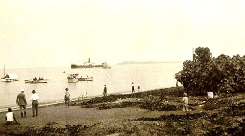 Cargo ship loading copra off Epi (early 1930s)