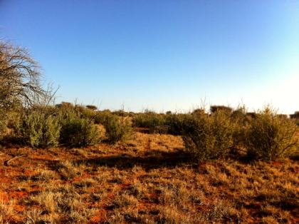 Northern Cape