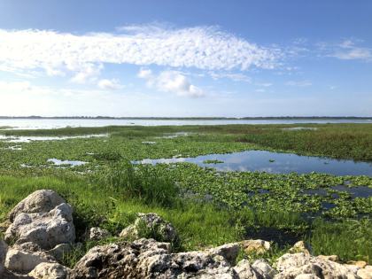 Lake Tohopekaliga