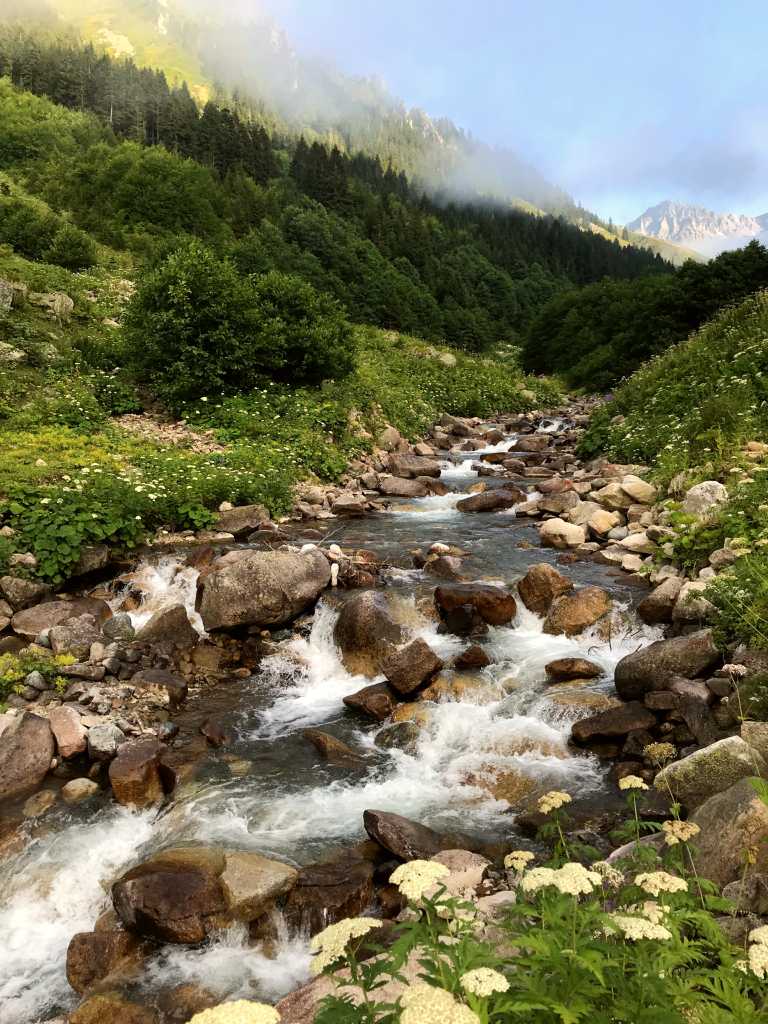 Rize