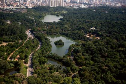 São Paulo Zoo