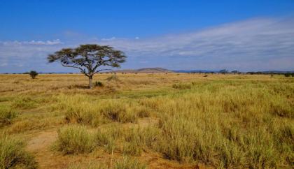 Serengeti National Park