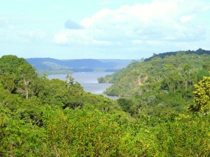 Rio Jari