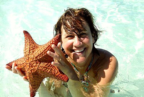 Tourism is a crucial branch of the economy of the area.