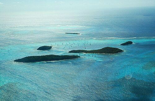 Tobago Cays Marine Park from the air