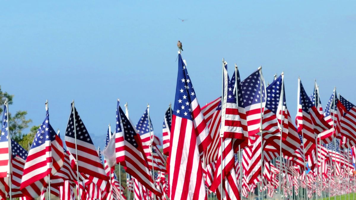 Geschiedenis - United States