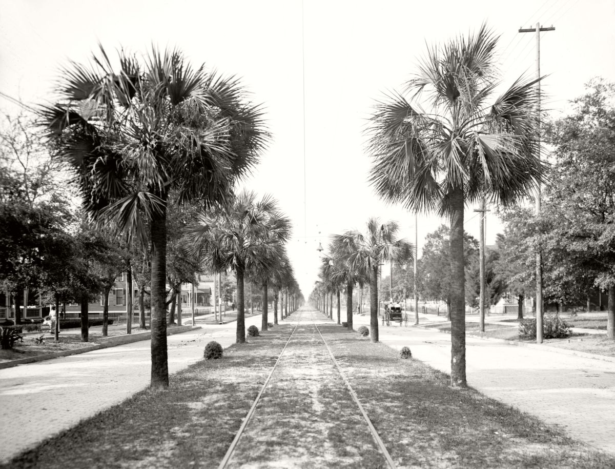 Geschiedenis - Jacksonville