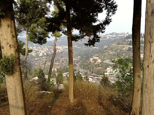Safed
