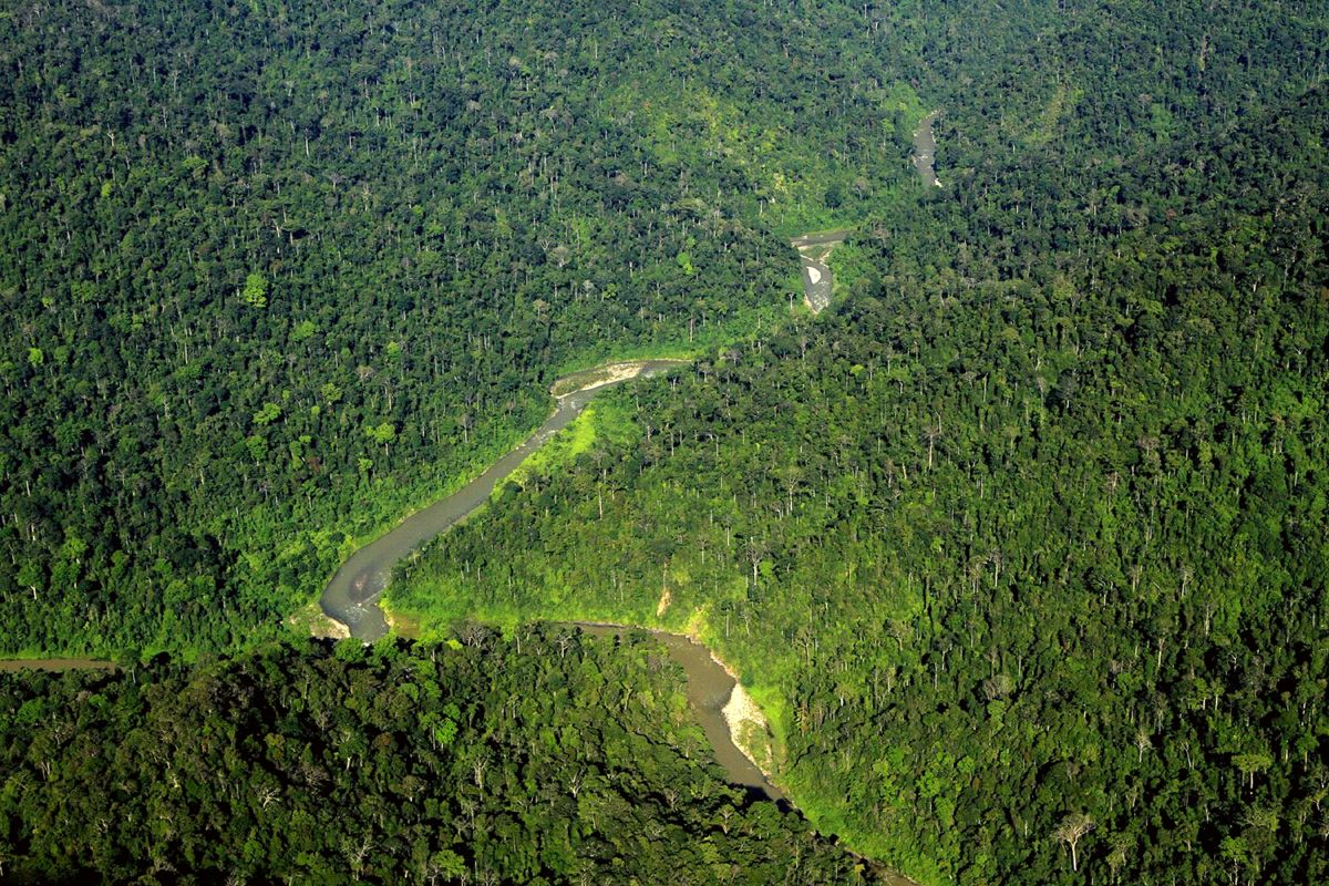 Gunung Leuser National Park