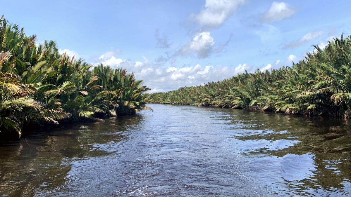 Sekonyer River