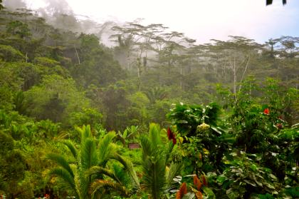 Manusela National Park